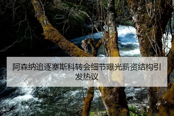 阿森纳追逐塞斯科转会细节曝光薪资结构引发热议
